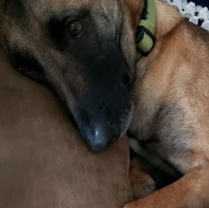 Meet your Posher, Trina